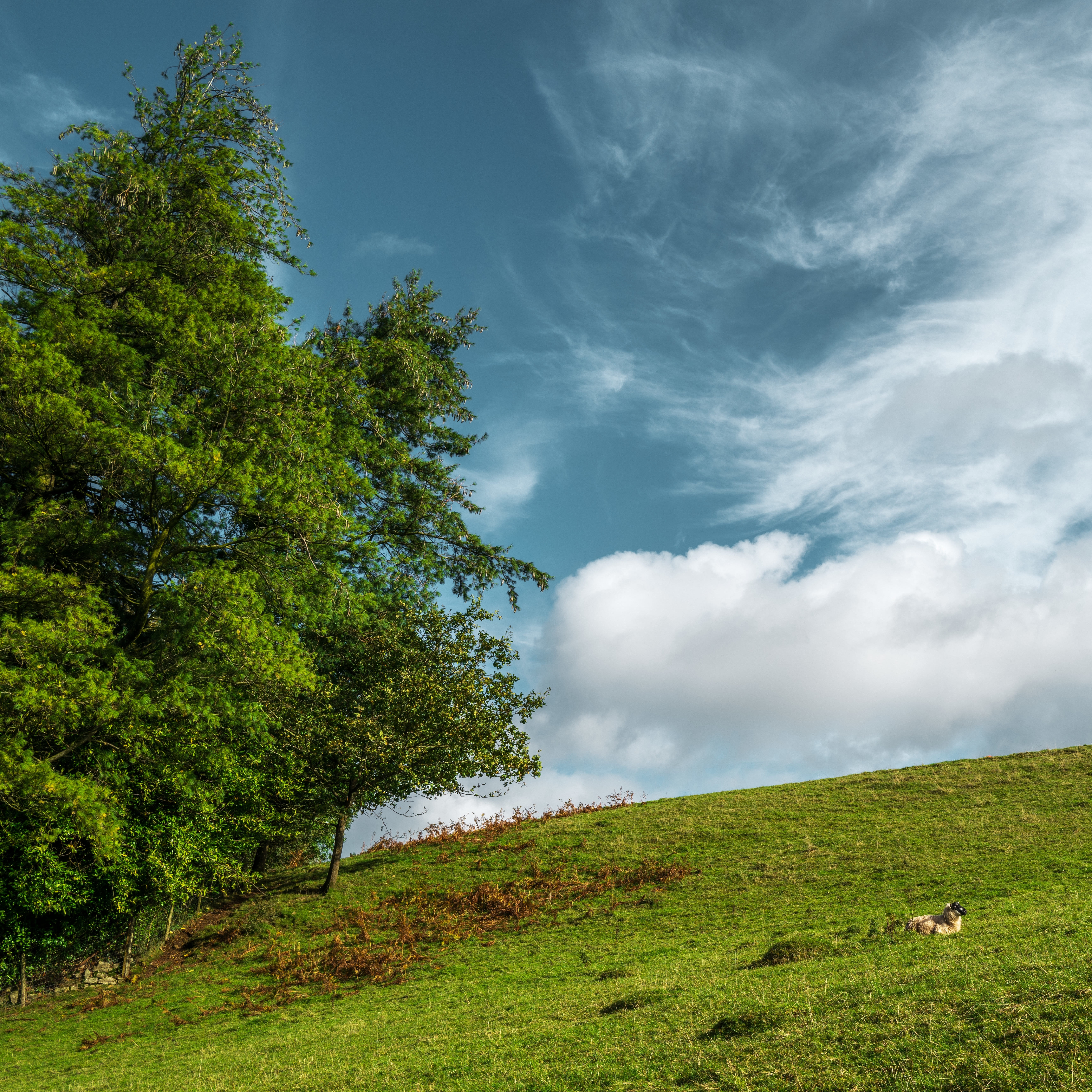 Coonoor