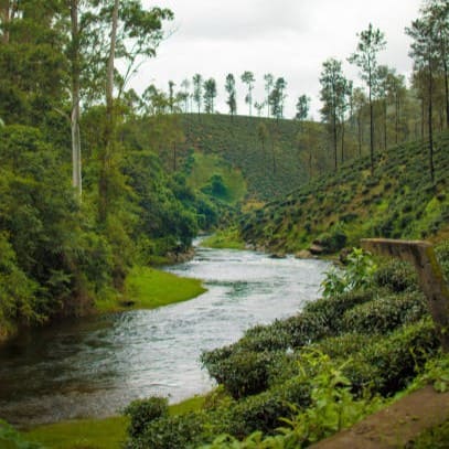 Valparai Tour